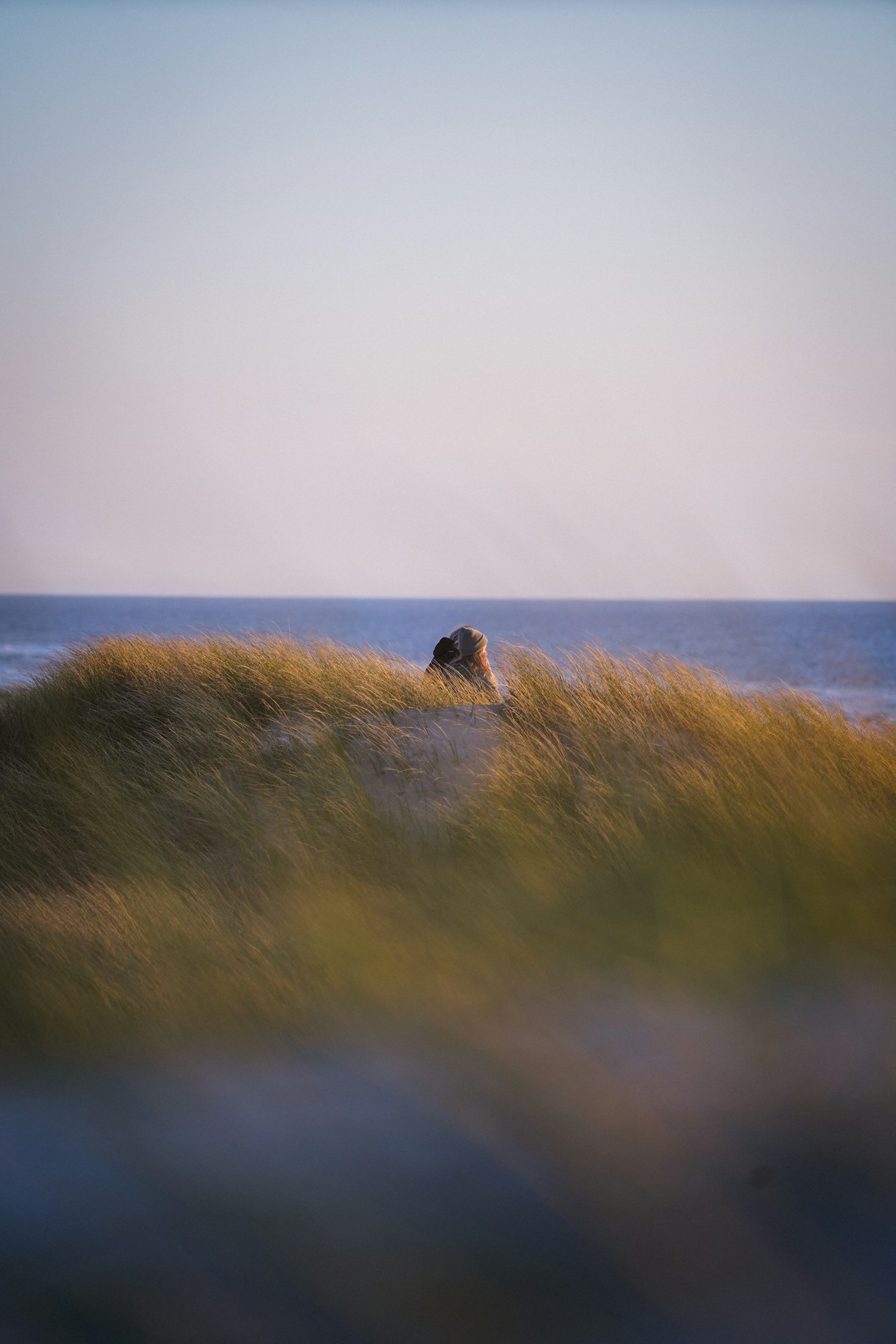 Meditations from the Heart of Nature