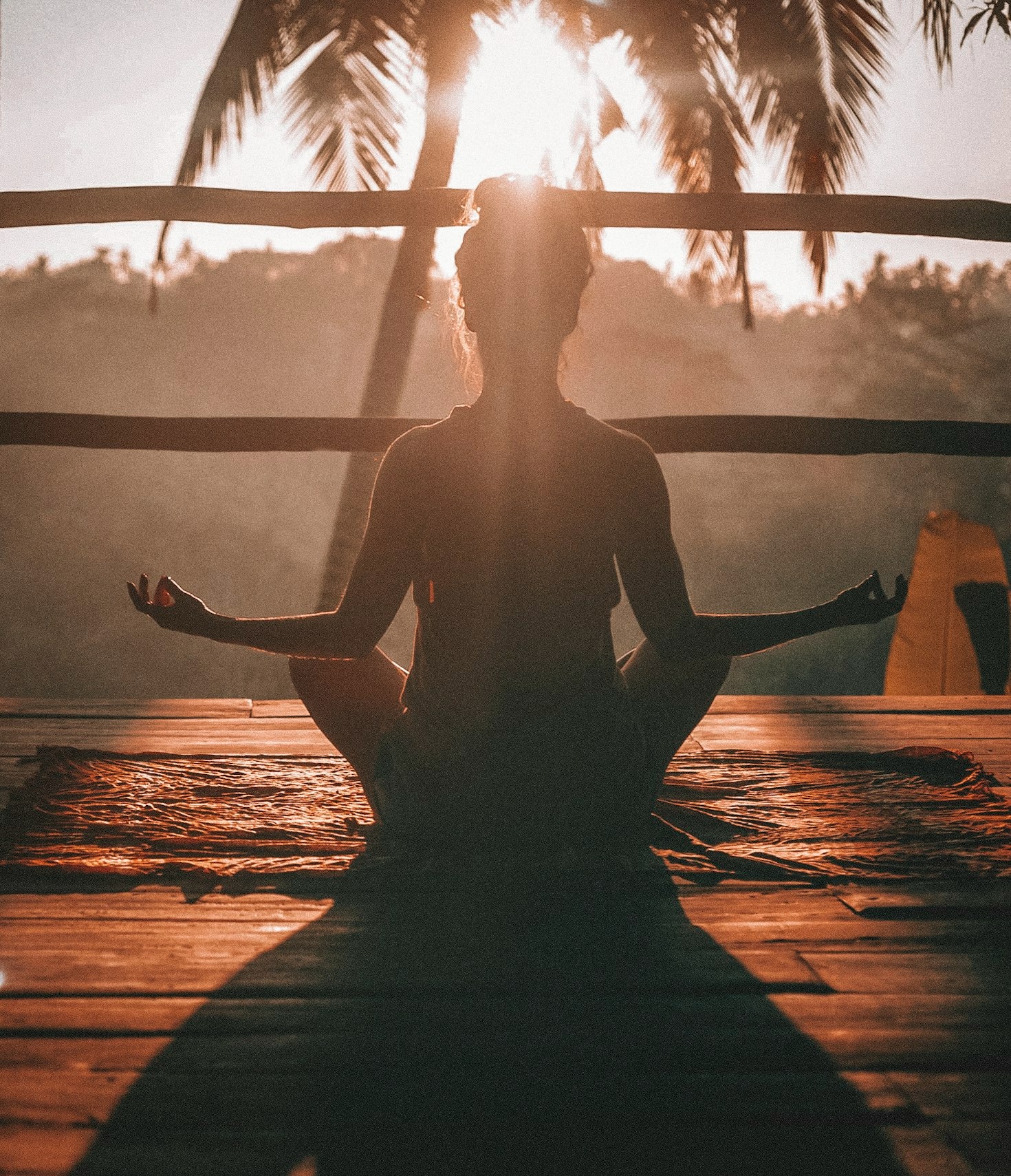 What the Land Teaches About Stillness